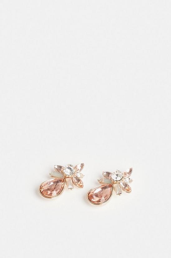 Coast Pink Diamante Drop Earrings 3