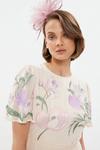 Coast Trailing Floral Angel Sleeve Embroidered Maxi Dress thumbnail 2
