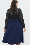 Coast Plus Size Premium Lace Top Full Skirt Midi Dress thumbnail 3