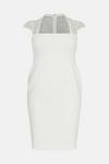Coast Plus Size Premium Lace Back Pencil Dress thumbnail 4
