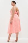 Coast Plus Size Bonded Lace Belted Full Skirted Dress thumbnail 3