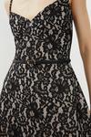 Coast Bonded Lace Belted Full Skirted Dress thumbnail 2