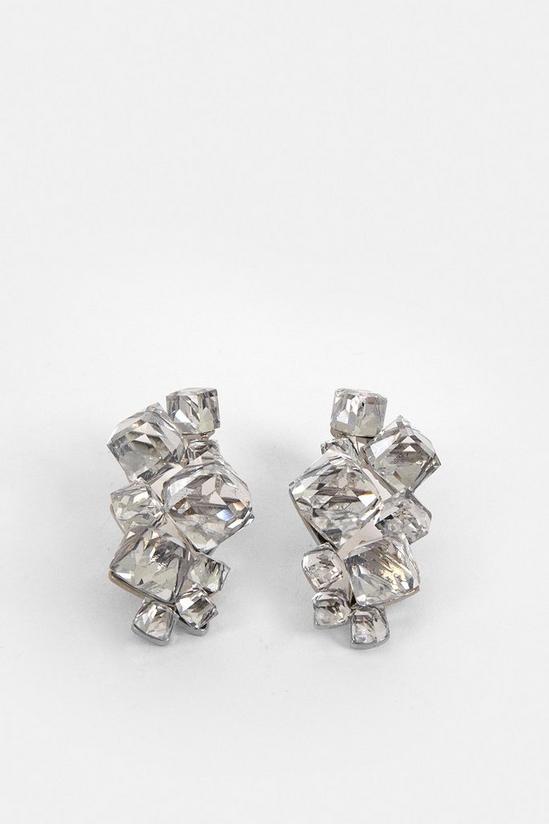 Coast 3d Jewel Statement Earrings 1