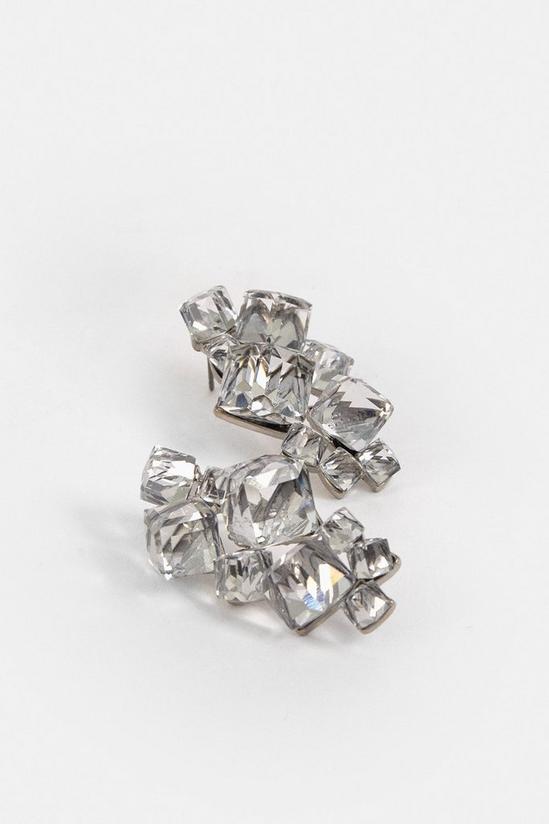 Coast 3d Jewel Statement Earrings 3