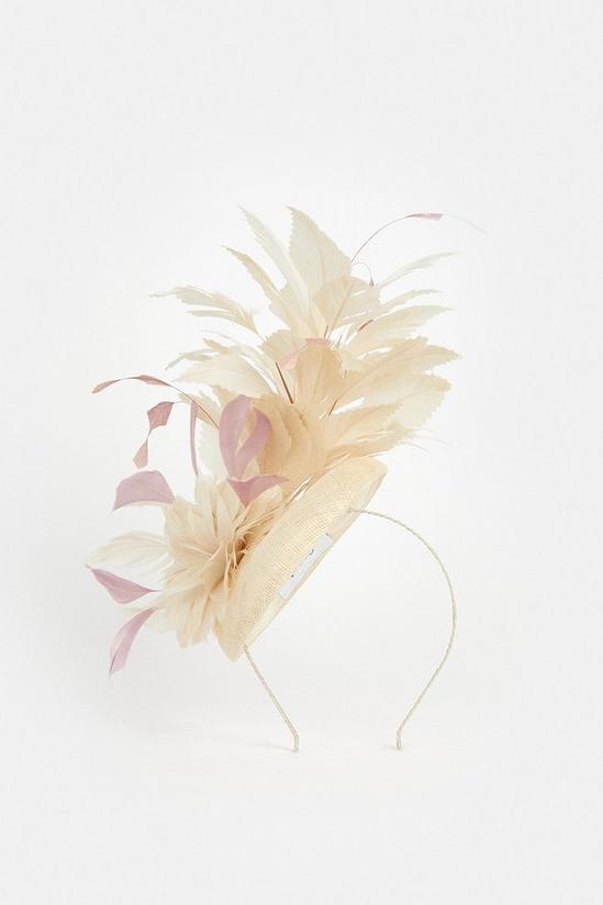 Coast Floral Feather Structured Disc Fascinator 2