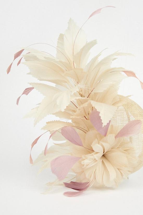 Coast Floral Feather Structured Disc Fascinator 3
