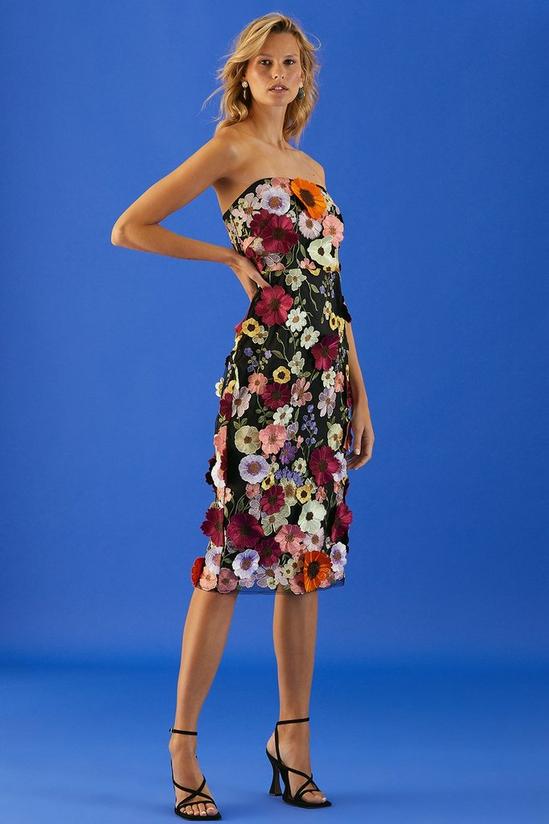Coast 3d Floral Embroidered Mesh Pencil Dress 2