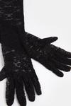 Coast Over Elbow Lace Gloves thumbnail 2