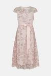 Coast All Over Floral Embroidered Midi Dress thumbnail 4