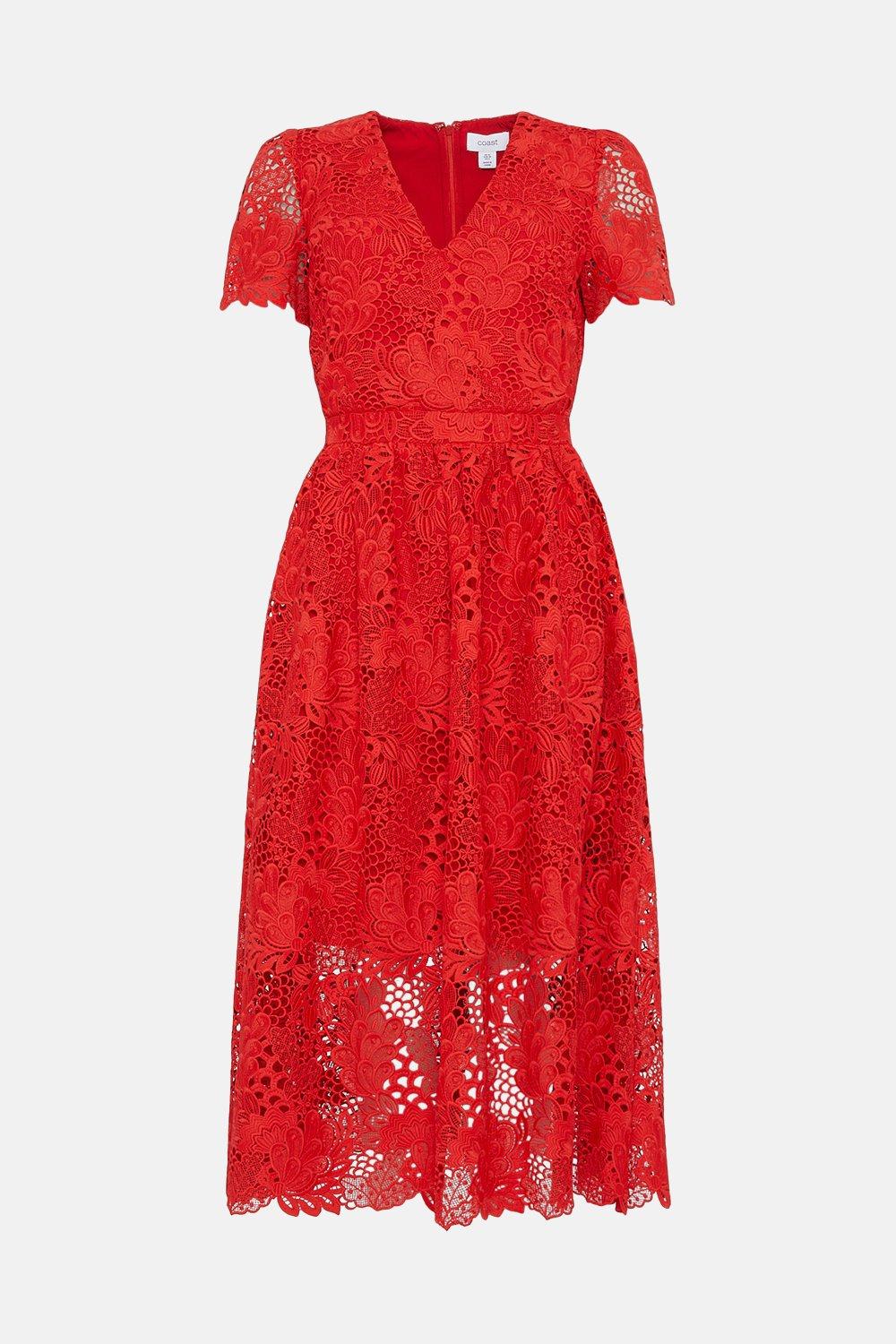 Coast odette lace midi sales dress