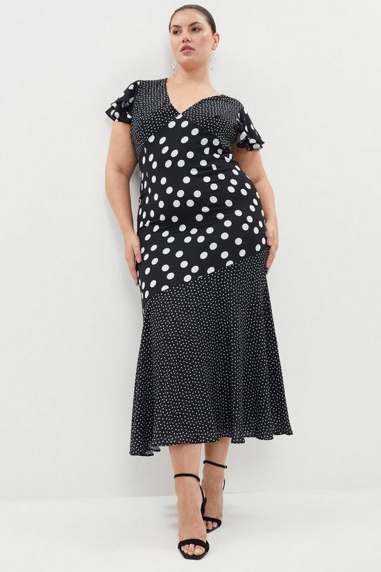 Coast Plus Size Polka Dot Ruffle Midi Dress 1
