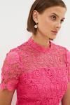 Coast Corded Lace Top Pleated Full Skirt Mini Dress thumbnail 2