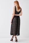 Coast Lace Panelled Bodice Full Skirt  Midi Dress thumbnail 5