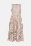 Coast Premium Lace Sleeveless Midi Dress thumbnail 4