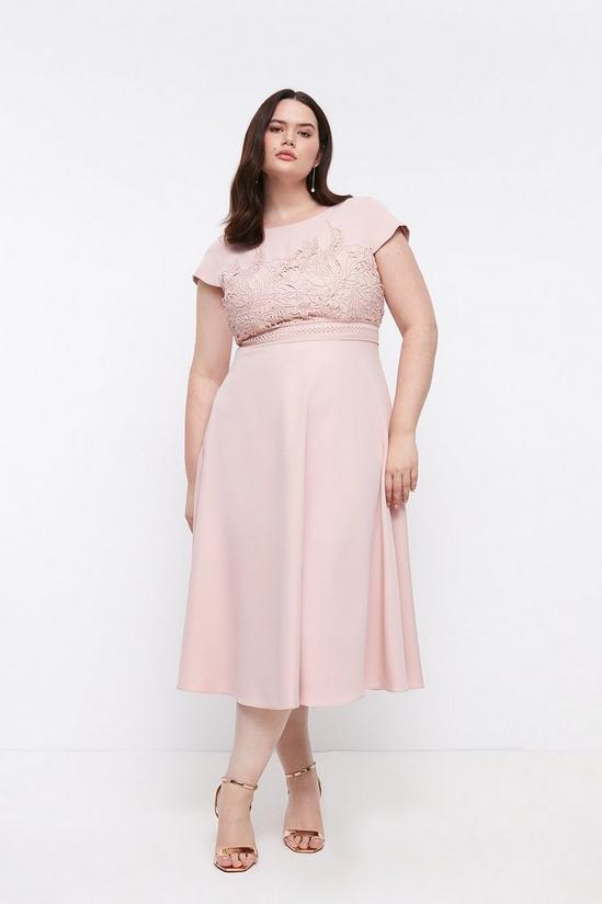 Coast Plus Size Lace Dress With Circular Skirt 1