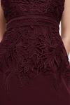 Coast Lace Dress With Crepe thumbnail 5