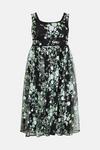 Coast Plus Size Floral Sequin Full Skirt Midi Dress thumbnail 4