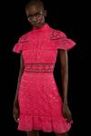 Coast Premium Panelled Lace Organza Trim Mini Dress thumbnail 1