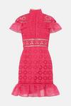 Coast Premium Panelled Lace Organza Trim Mini Dress thumbnail 4