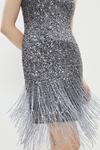 Coast Sequin Bustier Dress With Beaded Fringe thumbnail 2