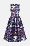 Coast Stripe Floral Print Full Skirt Midi Dress thumbnail 4
