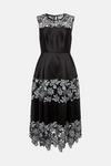 Coast Lisa Tan Corded Lace Panelled Full Skirt Midi Dress thumbnail 4