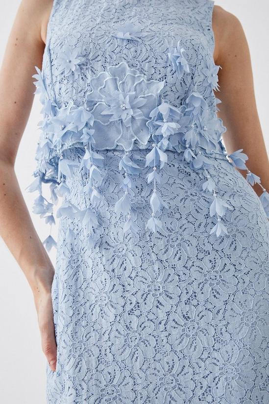 Coast Lace And 3d Floral Bodice Overlay Midi Dress 2