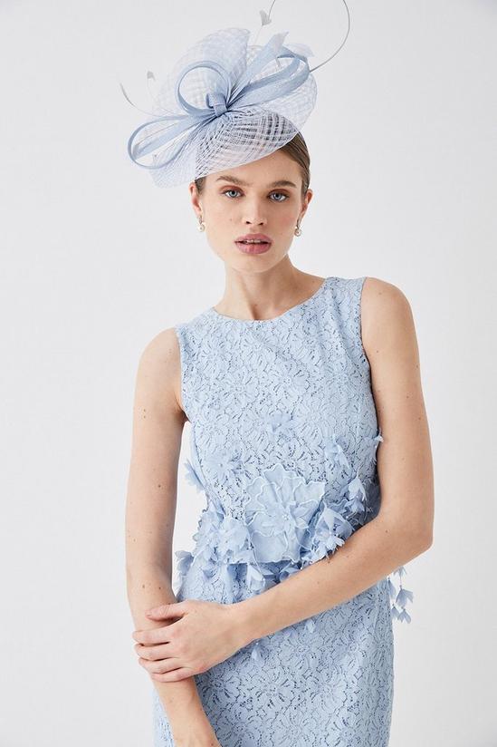 Coast Lace And 3d Floral Bodice Overlay Midi Dress 3