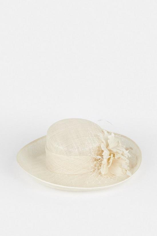 Coast Premium Feather Flower Hat 2