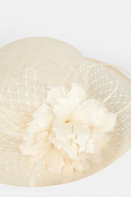 Coast Premium Feather Flower Hat 3