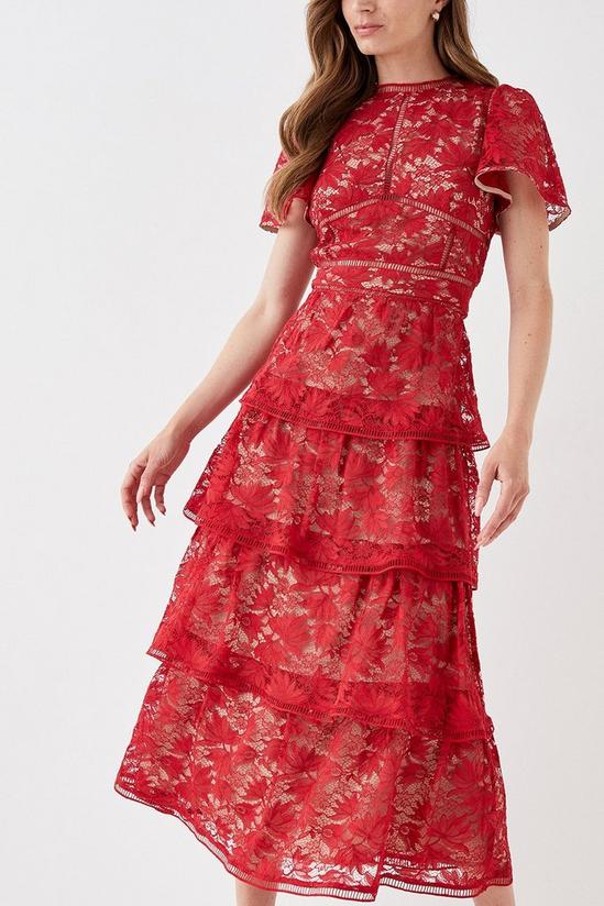 Coast Tiered Lace Dress With Flutter Sleeve & Trims 2