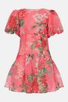 Coast Pink Floral Drop Waist Organza Mini Dress thumbnail 4