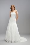 Coast Premium Lace Sweetheart Princess Wedding Dress With Full Skirt thumbnail 1