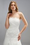 Coast Premium Lace Sweetheart Princess Wedding Dress With Full Skirt thumbnail 4