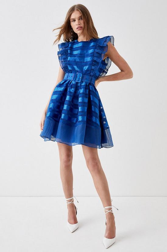 Coast Mini Stripe Jacquard Dress With Frill Sleeve & Belt 1