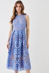 Coast Premium Sleeveless Lace Midi Dress With Contrast Lining thumbnail 1