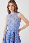Coast Premium Sleeveless Lace Midi Dress With Contrast Lining thumbnail 2