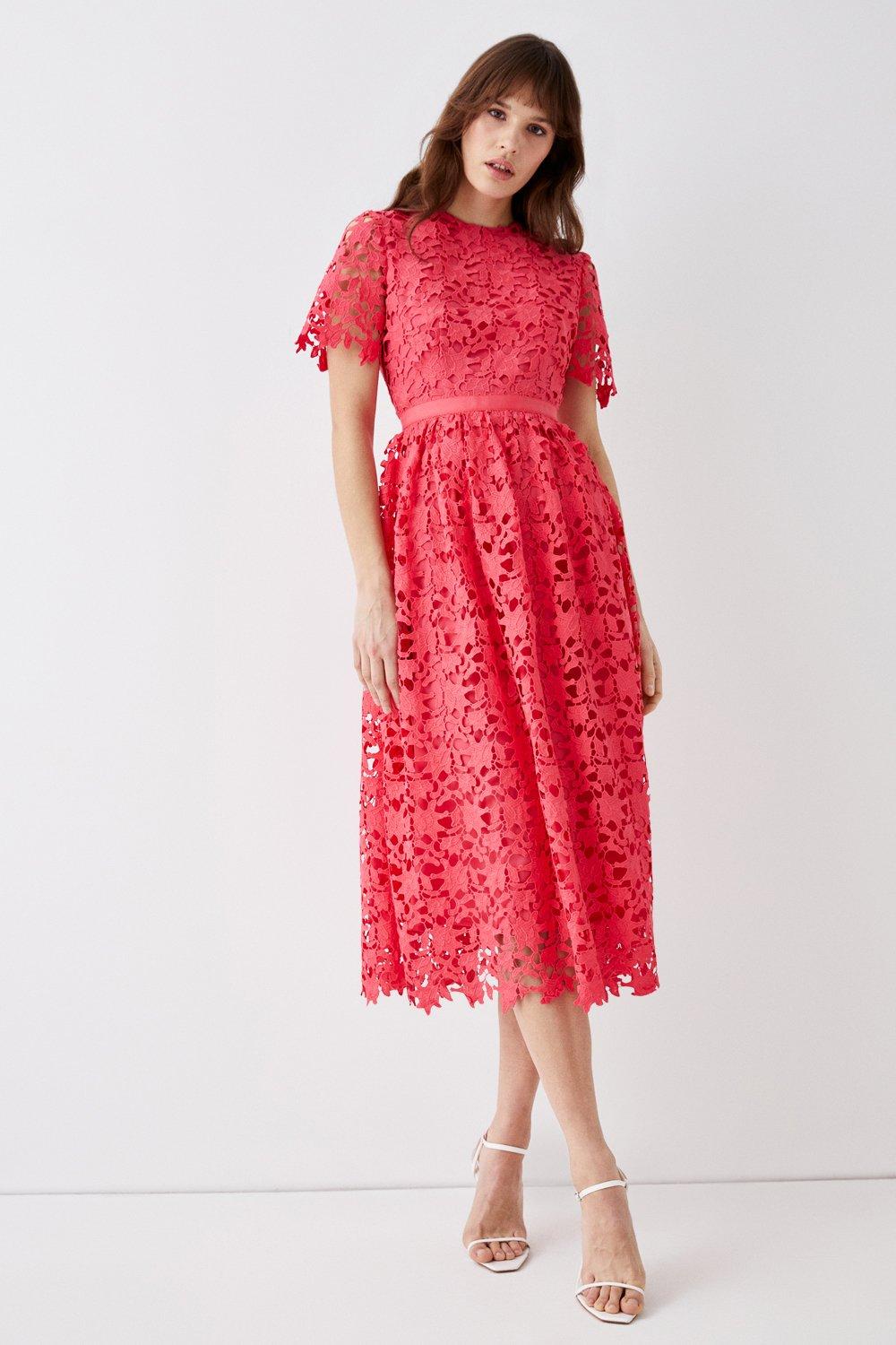 Coast jade cheap lace midi dress