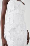 Coast Premium 3d Floral Midi Dress With Jewelled Straps thumbnail 2