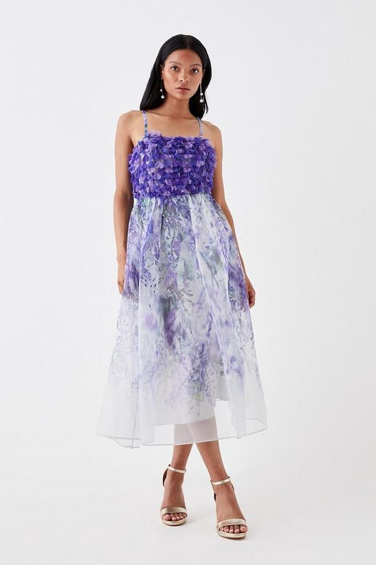 Coast Petite Hand Stitched 3d Floral Bodice Full Skirt Midi Dress 1