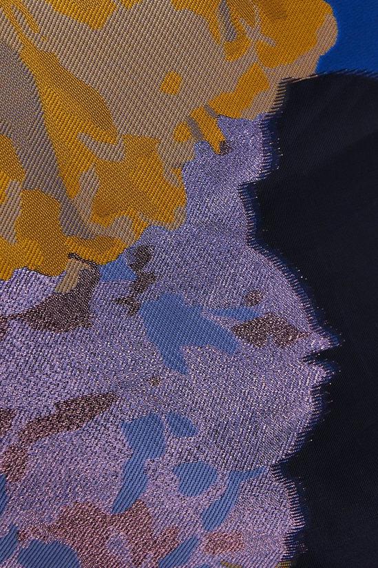 Coast Ruffle Sleeve Organza Jacquard Midi Dress 6