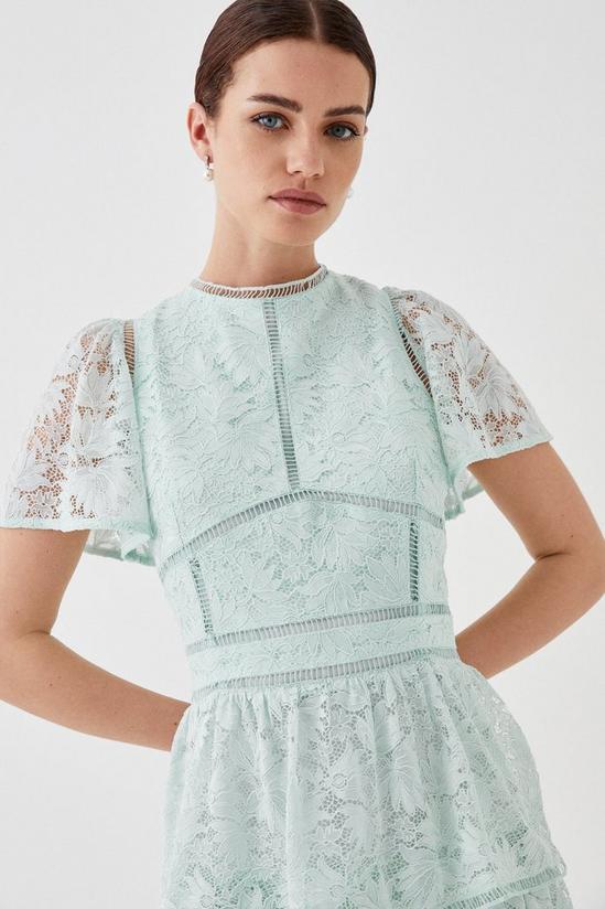 Coast Petite Tiered Lace Dress With Flutter Sleeve & Trims 3