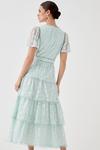 Coast Petite Tiered Lace Dress With Flutter Sleeve & Trims thumbnail 4