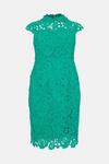 Coast Plus Size Lace Pencil Dress With Applique Neckline thumbnail 4