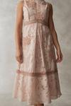 Coast Premium Jacquard Midi Dress With Floral Applique thumbnail 3