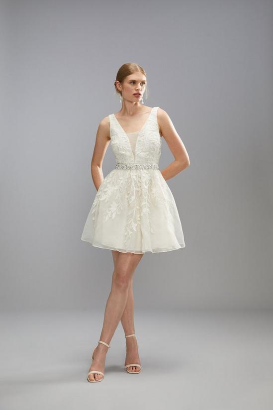 Coast Premium Embellishment Mini Dress With Full Skirt 2