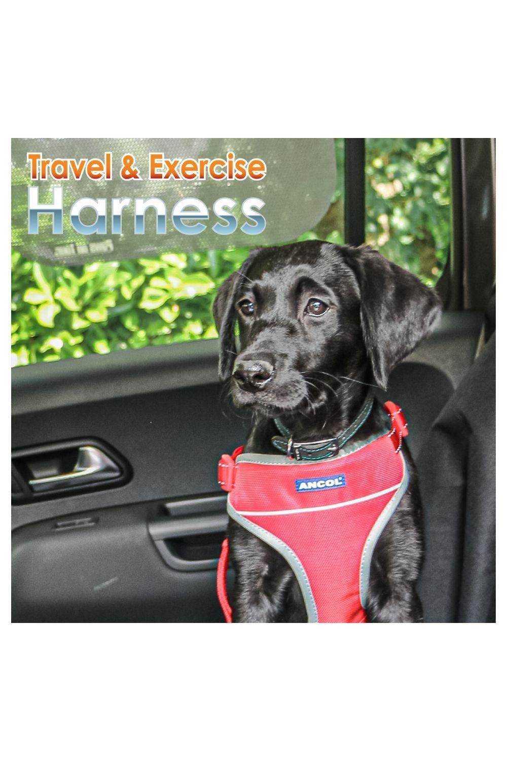 Ancol travel hotsell and exercise harness