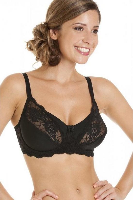 Lingerie, Classic Floral Lace Underwired Bra
