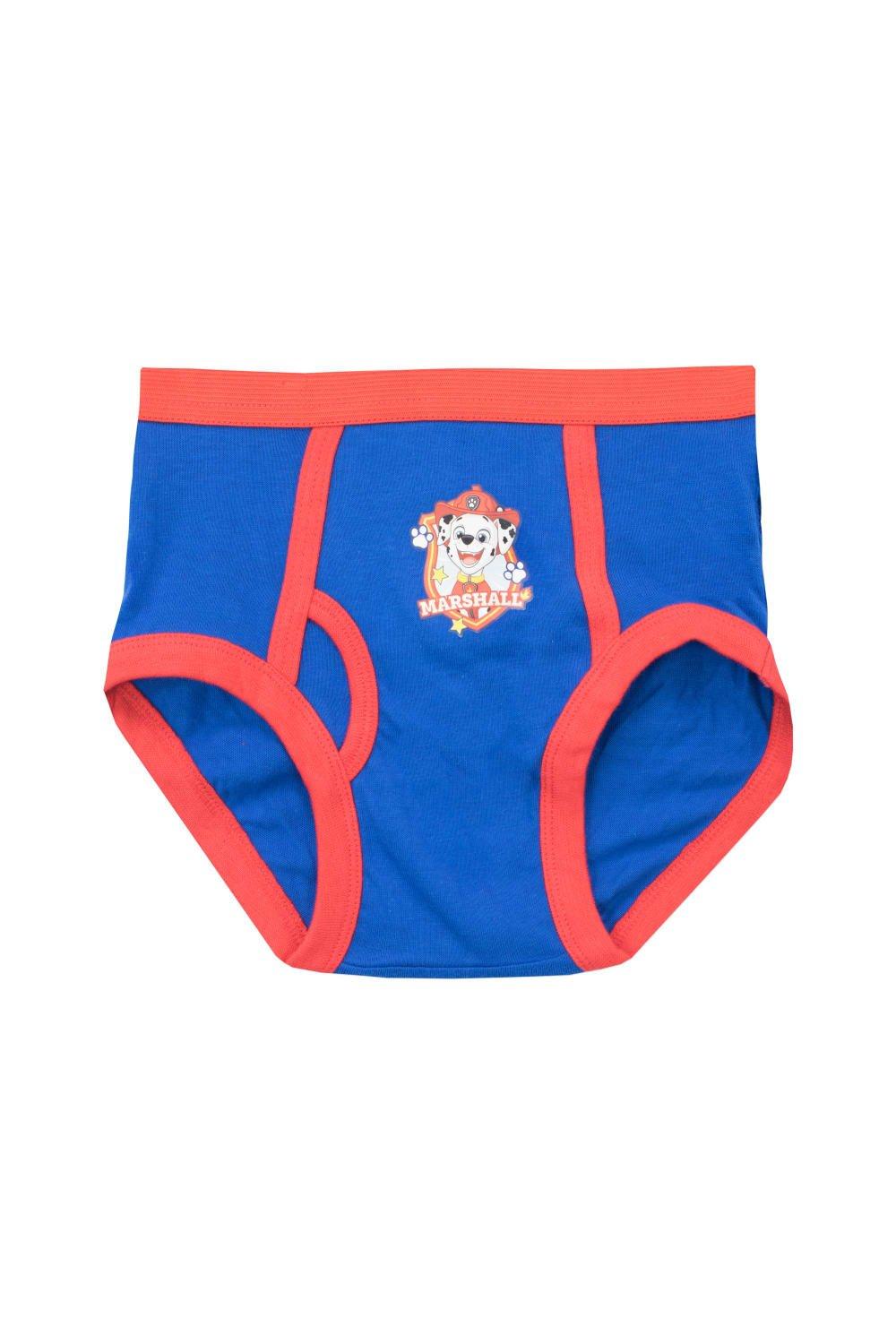 Underwear & Socks, Paw Patrol Skye Underwear 5 Pack